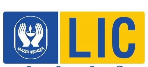 LIC Identity Brand Badge