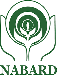 NABARD Identity Brand Badge